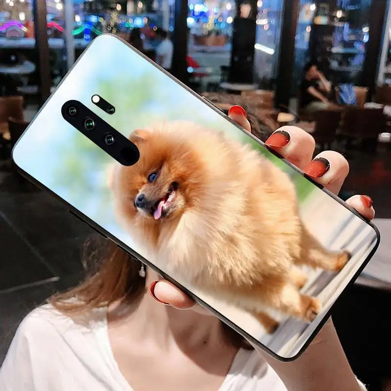 Милая Померанская собака модель Redmi 9A 8A 7 6 6A Note 10 9 8 8T Pro Max K20 K30 | Мобильные телефоны