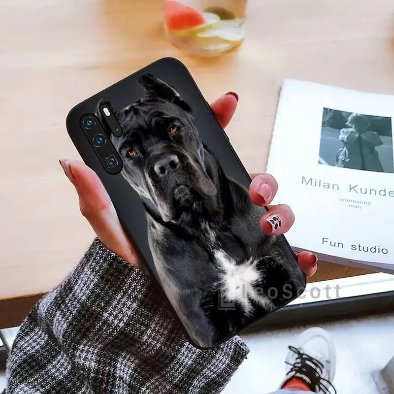 

Pit Bull Lovely Pet Dog Pitbull Phone Case black For Huawei honor Mate mate P 10 9X 10i 20 30 40 y7 lite pro p smart 2019