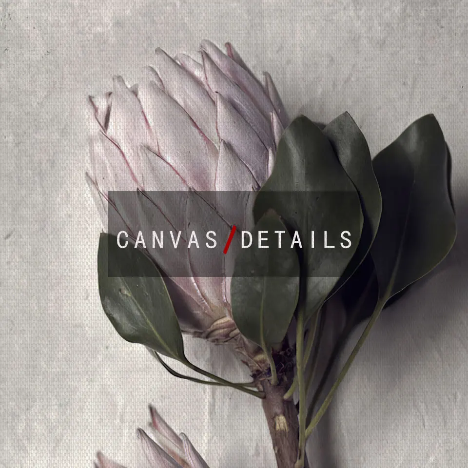 Protea скандинавские цветы плакат фотография холст Картина Настенная