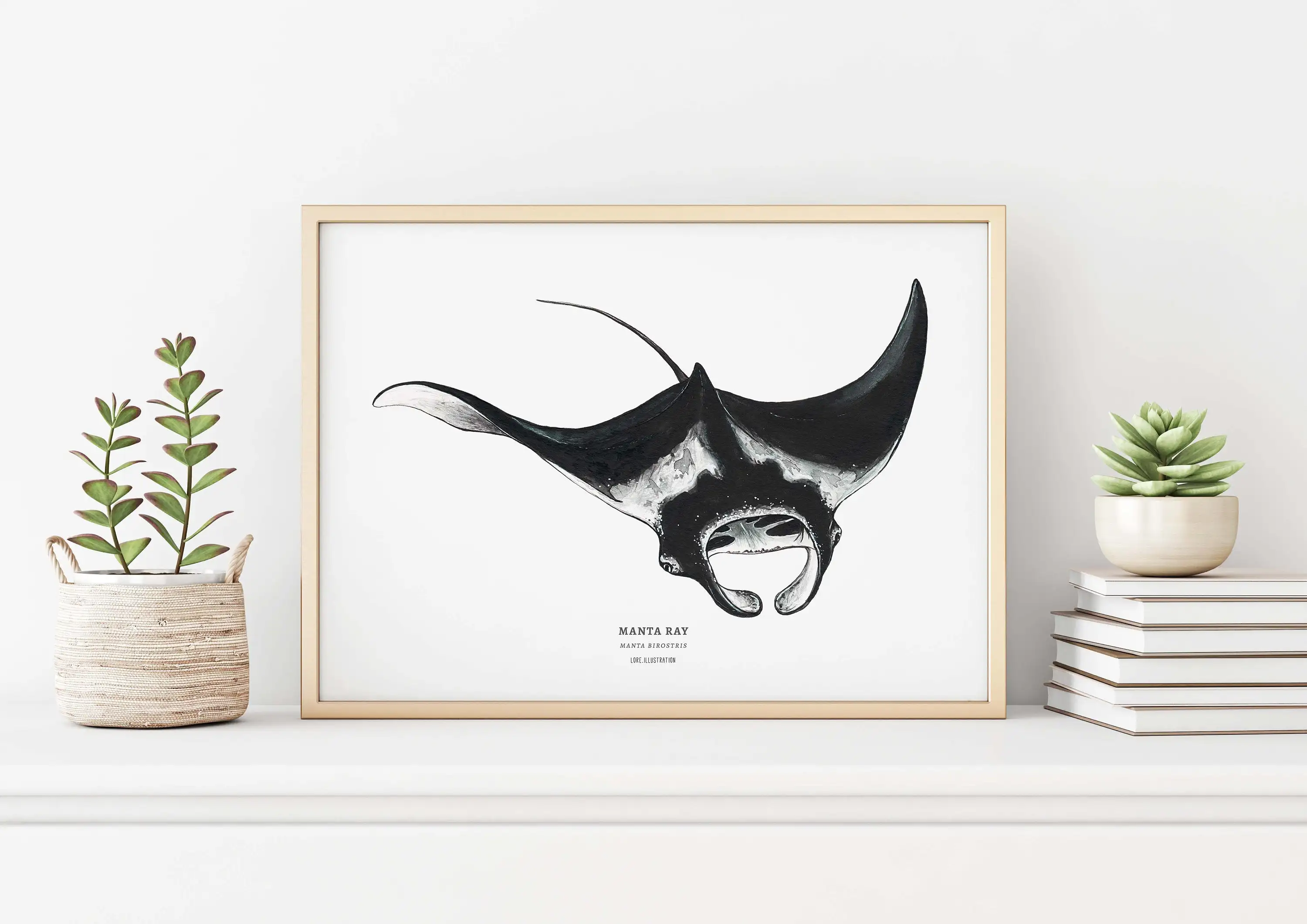 Manta Ray Print декор для стен океана вид животных принт жикле иллюстрация печати