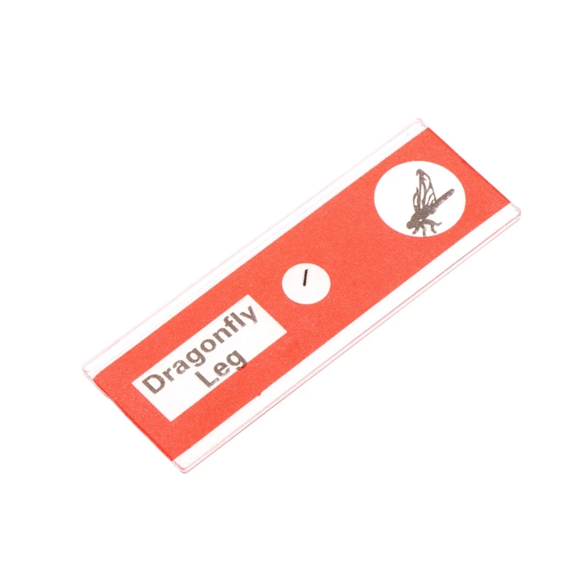 12 шт слайды подготовленные для микроскопа комплект образца студенческие