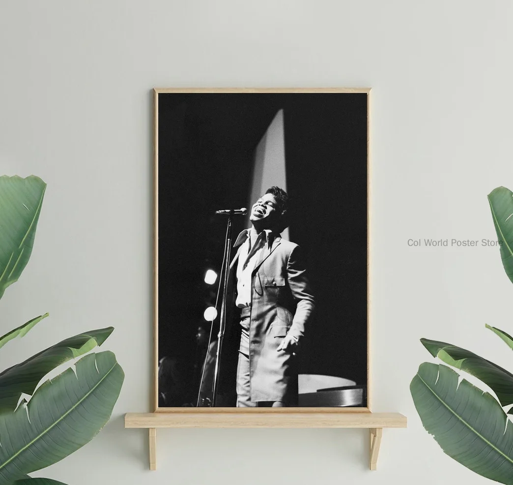 Шелковый плакат с изображением Джеймса коричневого цвета домашний декор 12x18 24x36