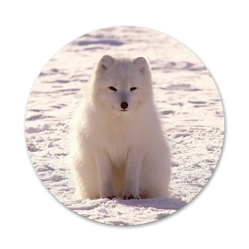 

Fox Sleeping In The Snow Badge Brooch Pin Accessories For Clothes Backpack Decoration gift 58mm