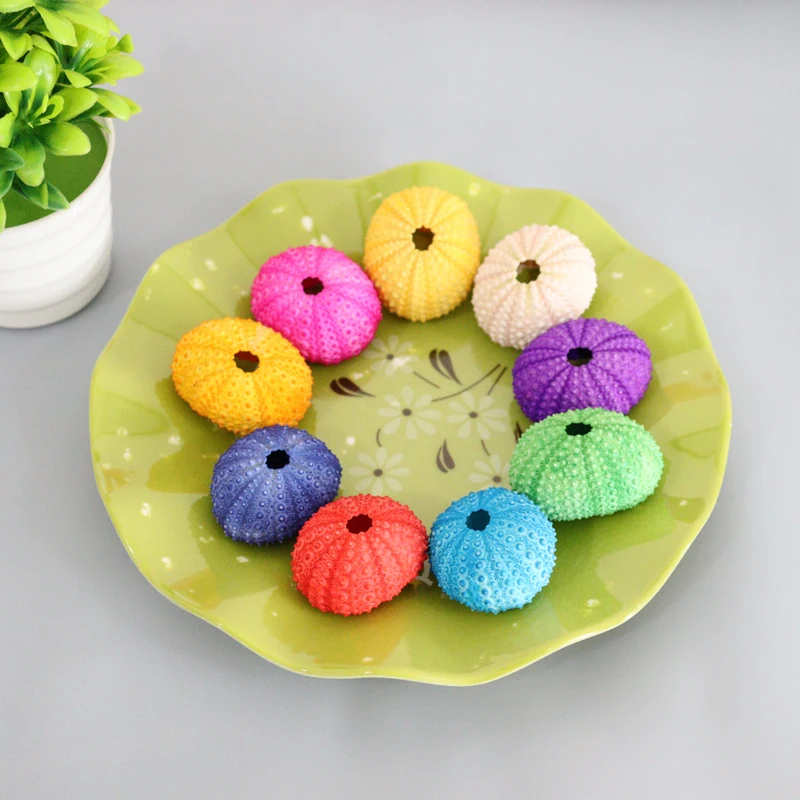 HappyKiss натуральный морской urchins розовый дизайн раковины urchin украшение для окна