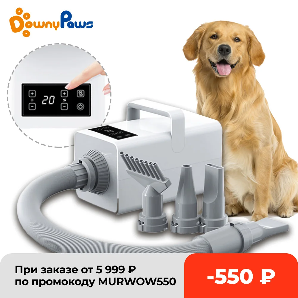 Secador de pelo profesional LED para perros y gatos, soplador de iones negativos, calentador de viento caliente ajustable, potente secador de pelo-0