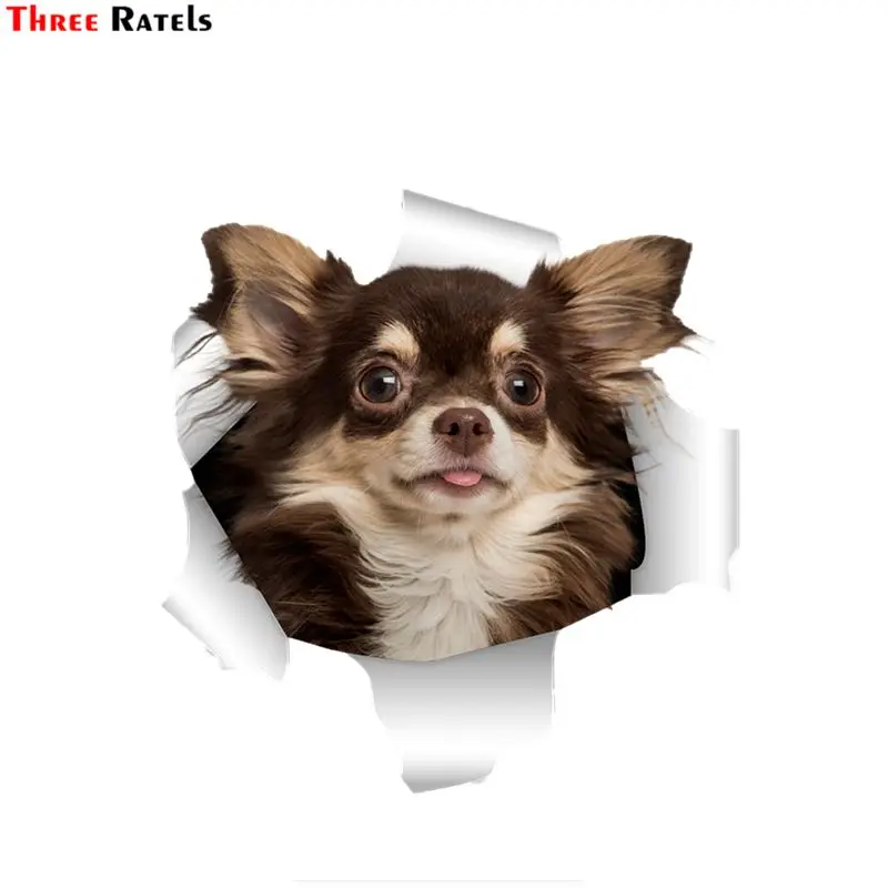 

Three Ratels QD45 милый 3D рваный металлический дизайн Чихуахуа собака фотодетская