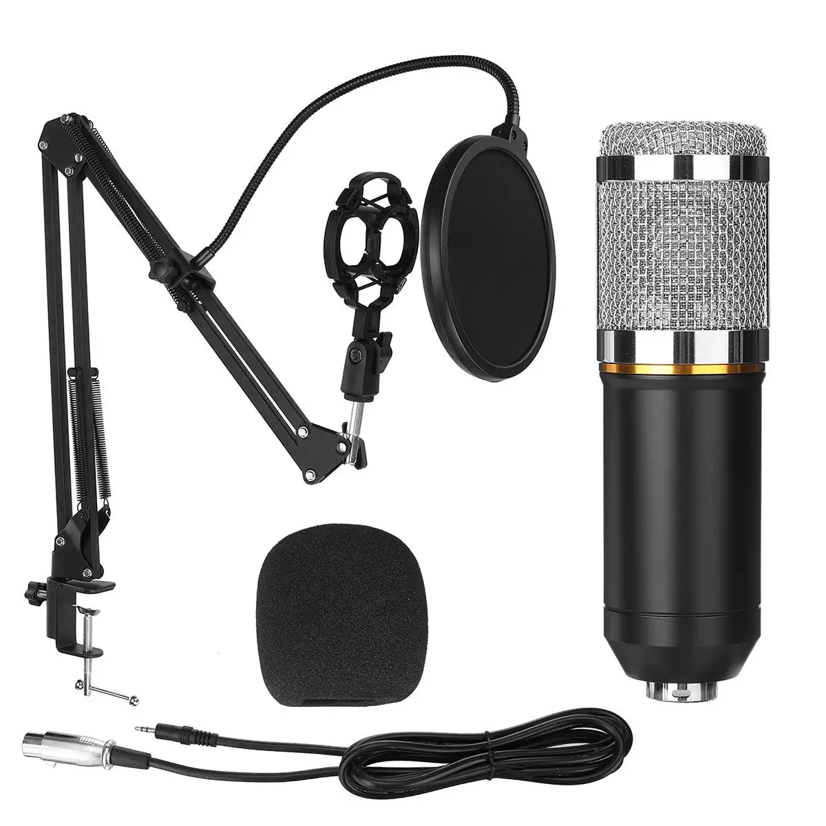 

BM800 Studio 2