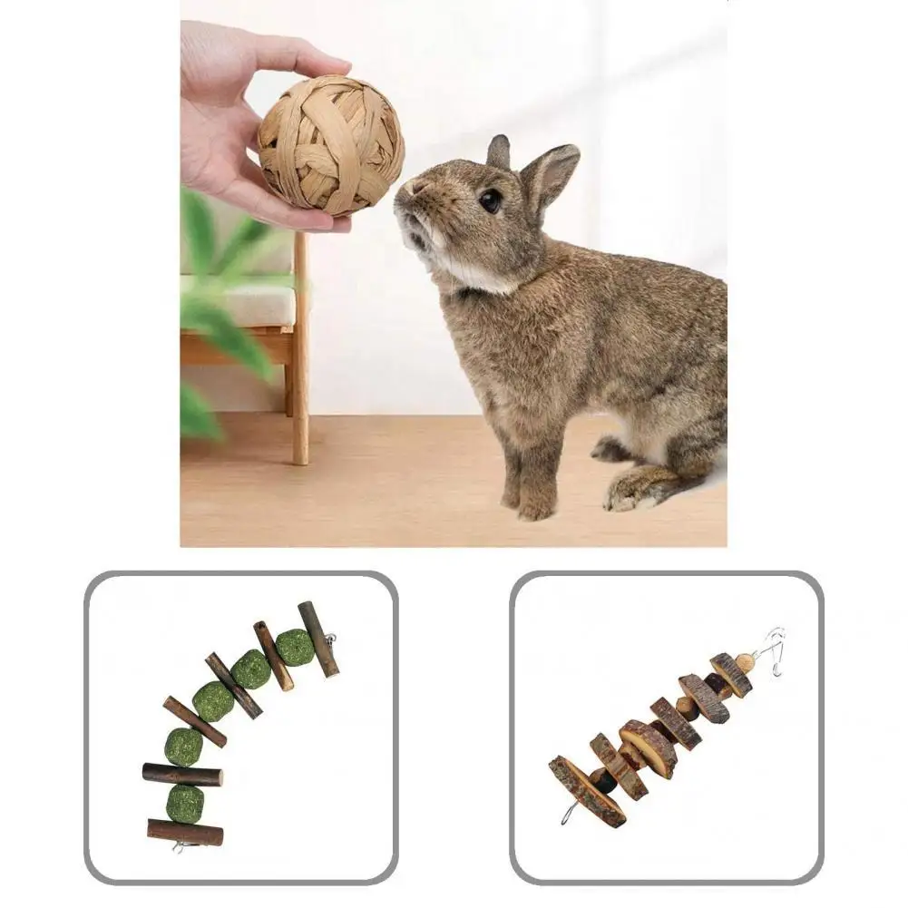 

Bite Resistant Wood Bite Resistant Chew Skewers Toy for Chinchillas