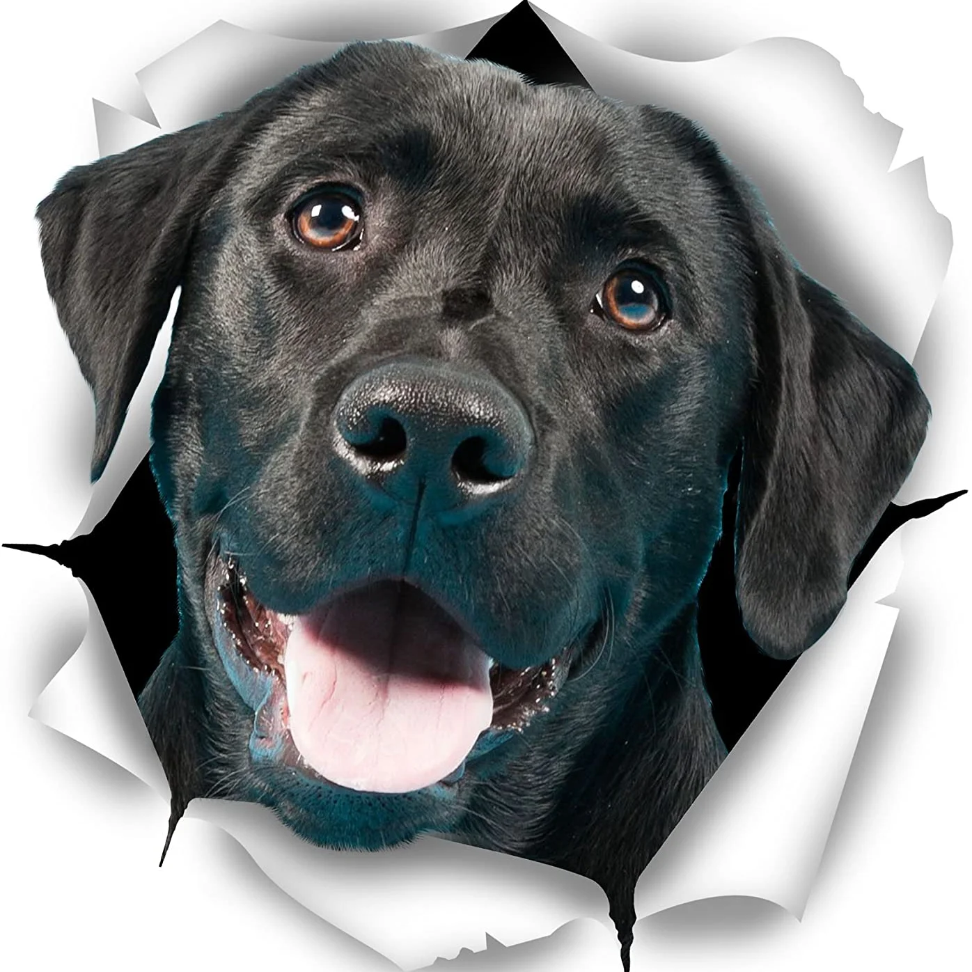 

Classic Cute Black Labrador Car Sticker Waterproof Decal Laptop Suitcase Motorcycle Auto Accessories PVC,14cm*11cm