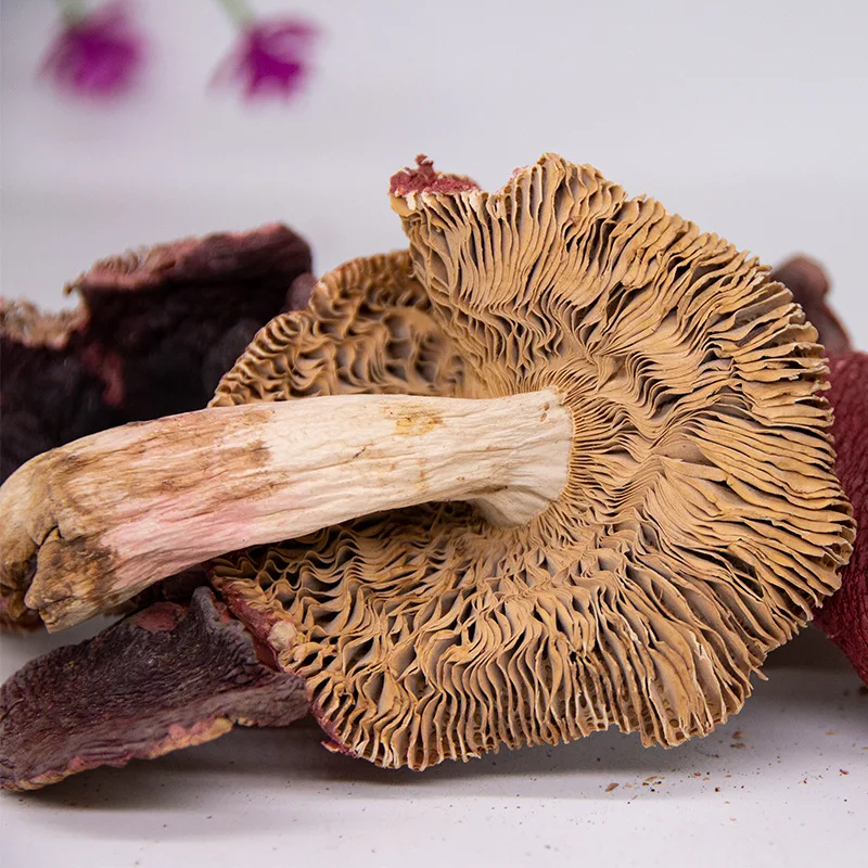 

Dried Red Mushroom Russula