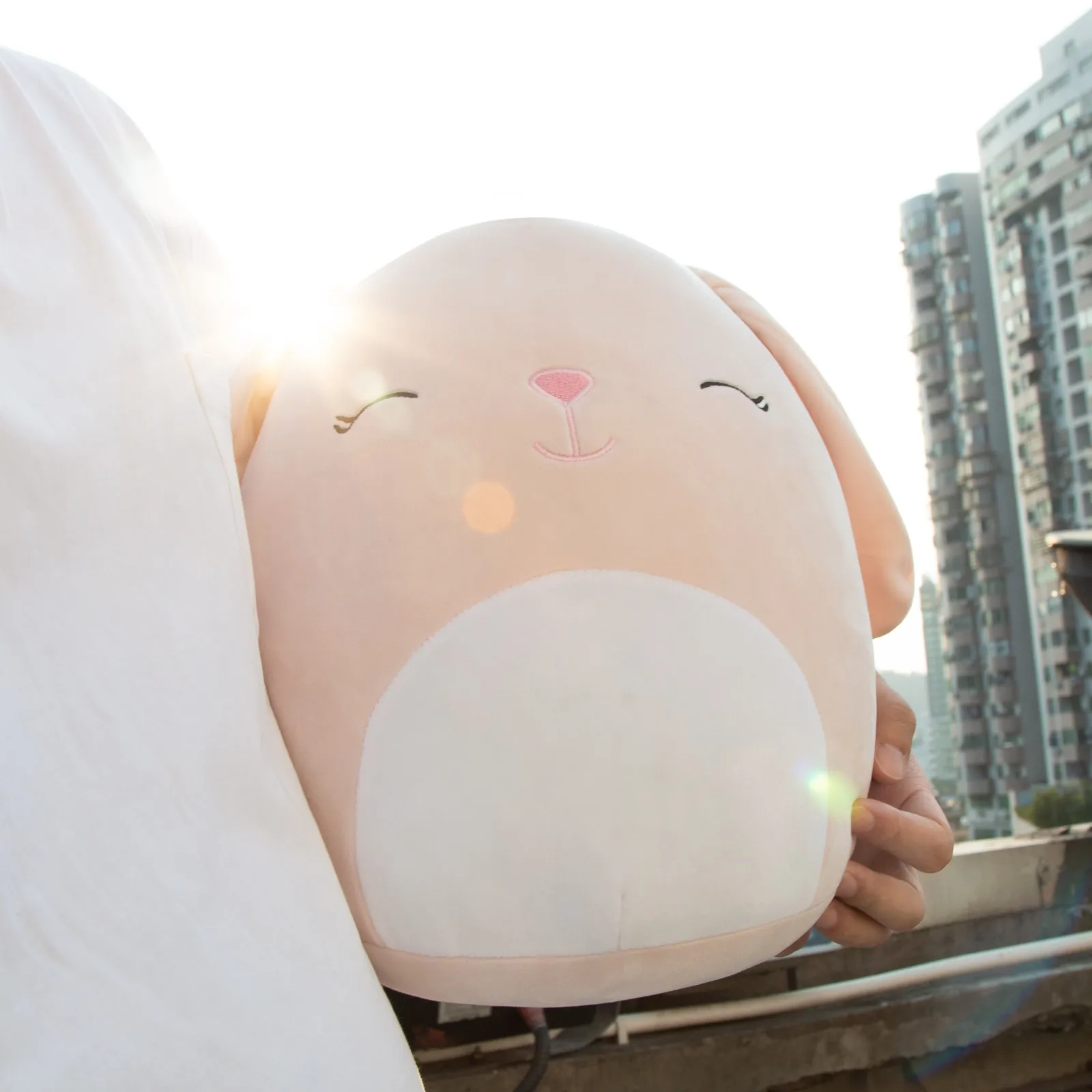 

2021 Kawaii Bunny Plush Stuffed Toys Birthday Easter Gift For Kids Pink Lovely Rabbit Animal Doll Toys Soft Sofa Decor Wholeasle