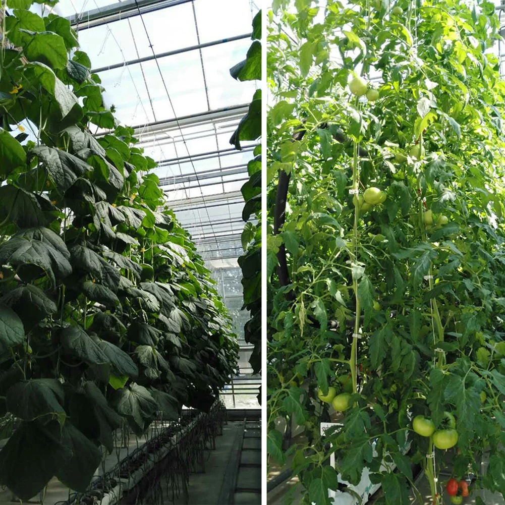 

10pcs/set Garden Plant Support Tomato Support J Hook Vegetables Plant Holder 10m For Tomatoes, Cucumber, Beans, Eggplant, Towel