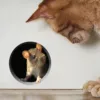 Изображение товара 0