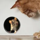 3d мышь Наклейка На Стену мышь в отверстии, настенные Наклейки, реалистичные настенные Наклейки, домашний декор, гостиная, настенные Наклейки