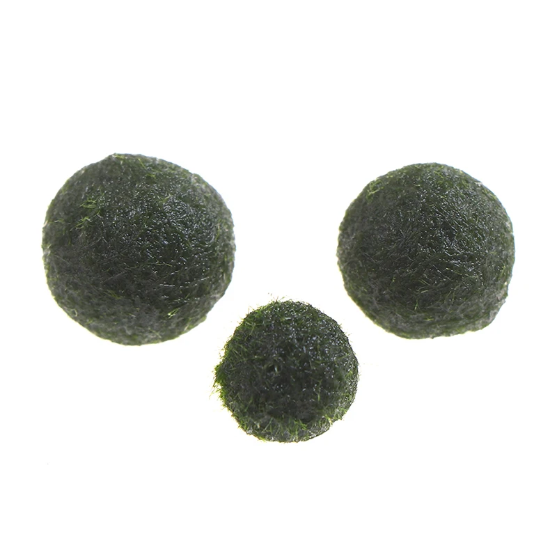 

Japan Genuine Aquarium Ball Landscaping 1cm Chlorella Algae Marimo Happy Environmental Green Seaweed Ball