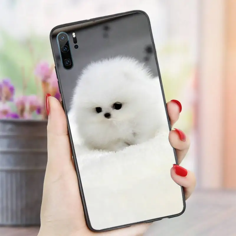

animal cute Hiromi dog Phone Case For Huawei honor Mate P 10 20 30 40 i 9 8 pro x Lite smart 2019 nova 5t