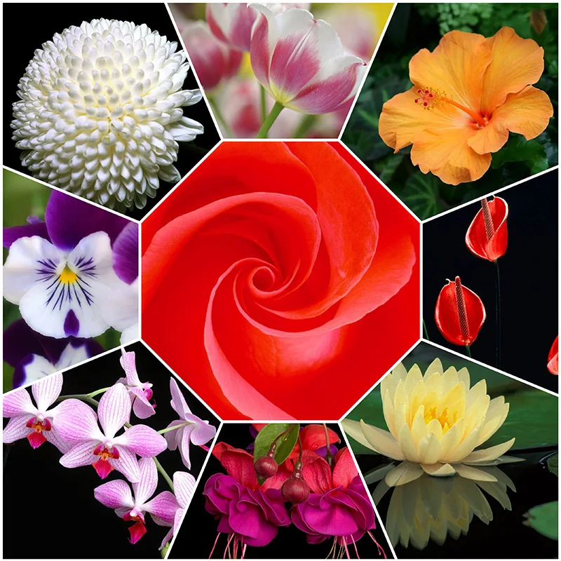 

5D Diy Diamond Painting Home Door Cross Stitch Full Drill Flower Embroidery City Handmade Wall Decor Gift