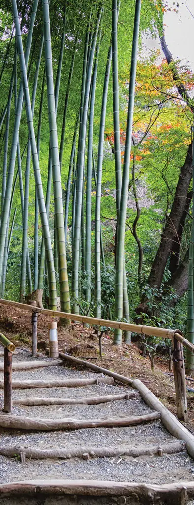 3D бамбуковая деревянная дверь настенные художественные Обои Настенная печать