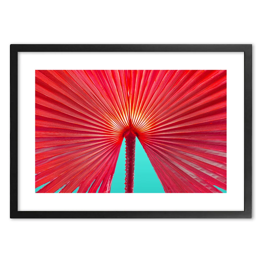 Постеры и принты в скандинавском стиле с изображением красных банановых листьев