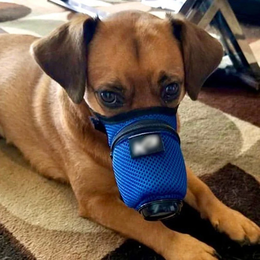 PM2.5 защитная маска для собак Регулируемая дышащая противотуманная дымовая