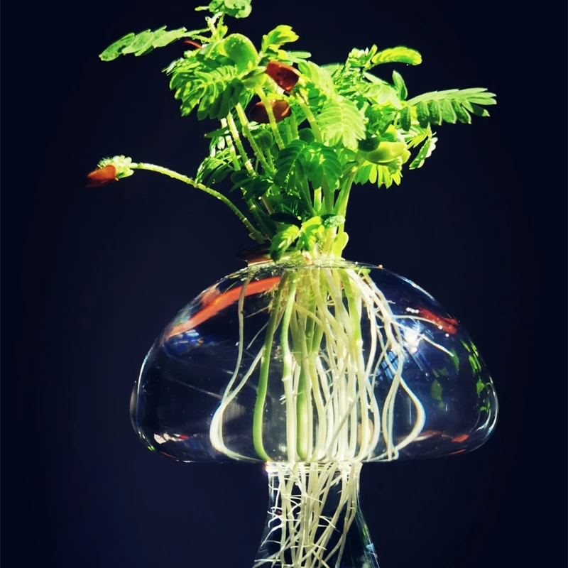 

Mushroom Shaped Glass Vase Lovely Hydroponics Plant Vase Creative Glass Crafts Decor for Home Office Living Room H051