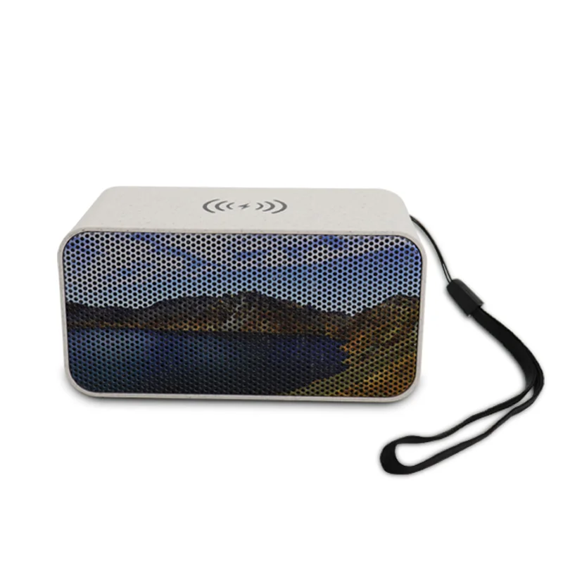 Высокое качество низкая цена Портативный беспроводной Bluetooth-динамик с