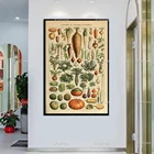 Настенная картина из овощных бобовых адольфед миллот-печать овощей, кухонный художественный холст, Подарочная идея-домашний Декор настенный художественный плакат