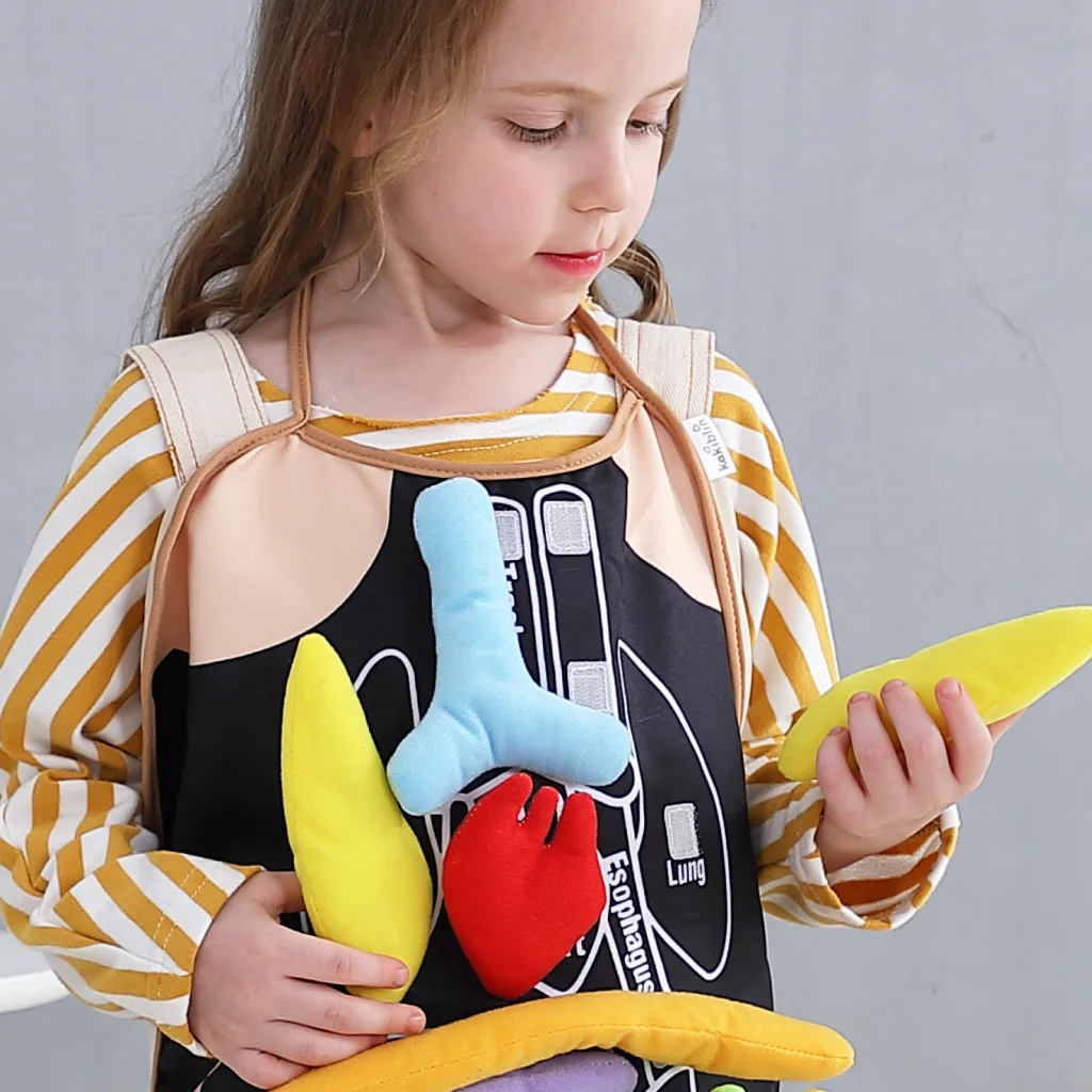 New Children's Educational Stereo Organ Apron Baby Science and Education Internal Organs Teaching Equipment |