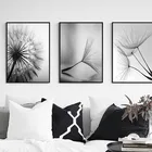 Современная Картина на холсте с изображением черного, белого одуванчика и цветов, Минималистичная Настенная картина, картина для домашнего декора, гостиной, YX145