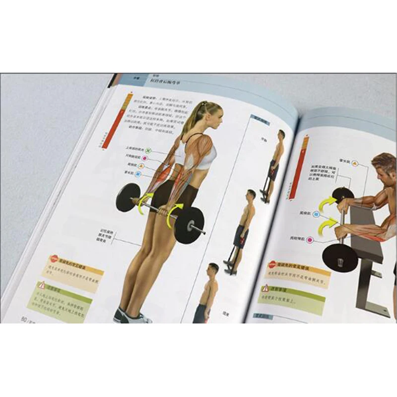 2/шт. Мышечная силовая тренировка + Растяжка цветная карта упражнения фитнес