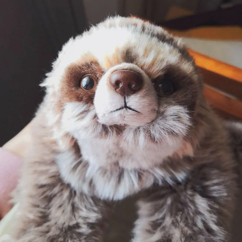 

35 cm Lifelike Sloth Plush Toy Three Toed Sloth Short Fluffy Cute Animal Stuffed Doll Bradypod Home Decor Crafts Kids Gifts