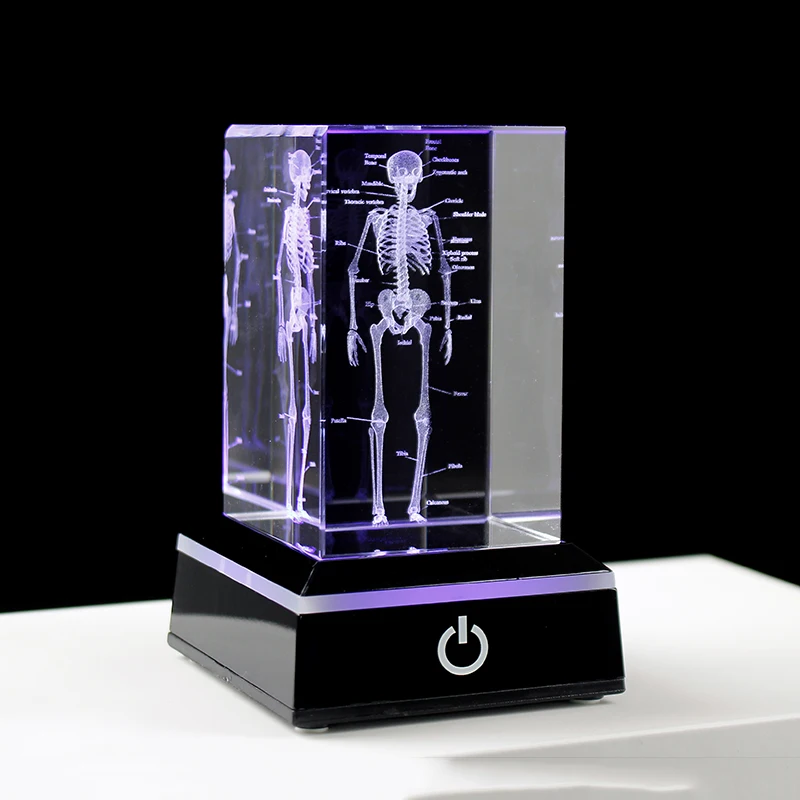 Cristal 3D grabado con láser, esqueleto anatómico humano, modelo de cubo, estatua, pisapapeles, anatomía, mente, neuroología, ciencia médica, regalos