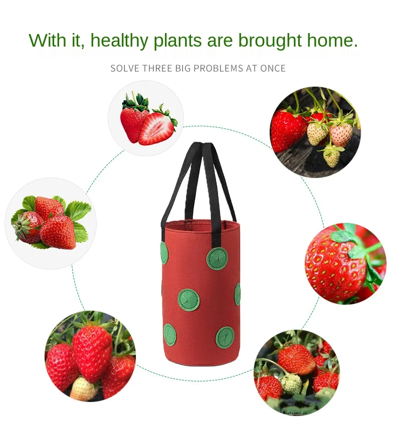 

13 Orifice Hanging Type Strawberry Planting Bag There Are Holes In The Bottom Of The Multi Mouthed Strawberry Bag Garden Pots