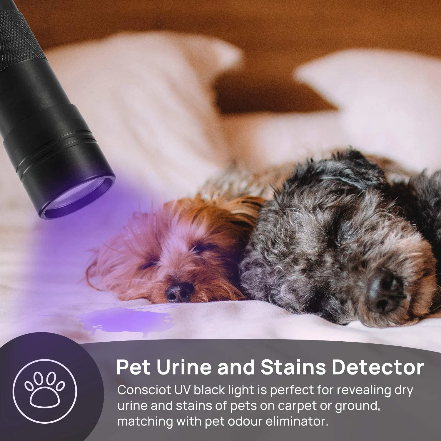 

ZHIYU UV Flashlight 12 LED Black Light 395nm Ultra Violet Blacklight Detector Torch Light for Dog Urine, Pet Stains, Bed Bug