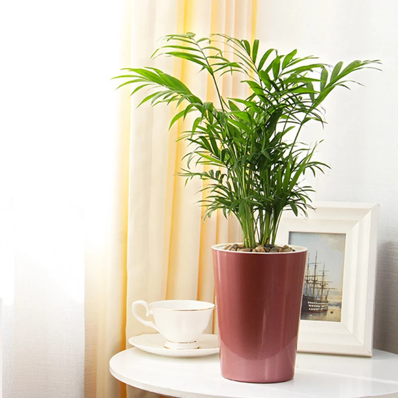 High Self Watering Planter Violet Pots Lazy Flower Pot Automatic-Watering UEJ | Дом и сад