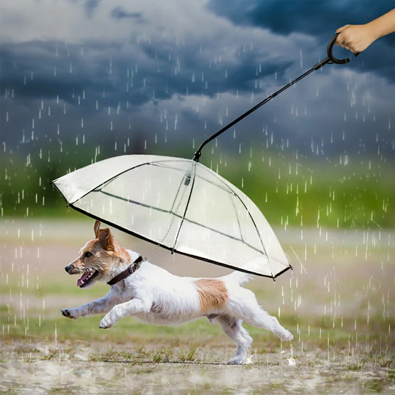 

New transparent PET umbrella dog C-type umbrella pet articles adjustable dog walking traction rope in rainy days