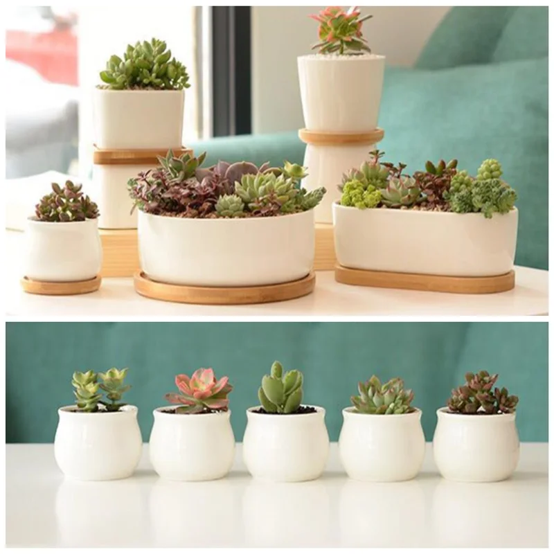 

White Porcelain Succulents Pot Green Plants Flower Pot With Bamboo Tray Creative Office Tabletop Planter Concise Vase Home Decor