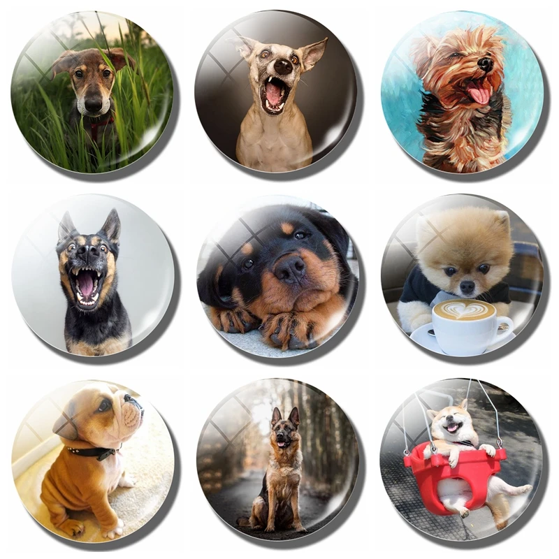 

Lovely Cute Dog 30MM Magnetic Refrigerator Stickers Funny Dog Pet Lover Gift Glass Cabochon Note Holder Fridge Magnet Home Decor