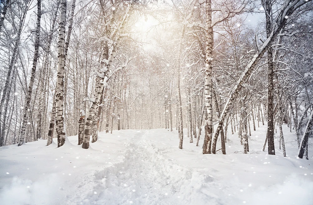 

Виниловый фон HUAYI со снежным лесом для фотосъемки с надписью "Merry Christmas"