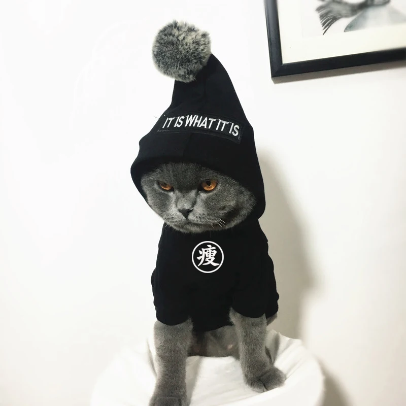 

Small Luxury Korean Dog Clothes Cute Summer French Bulldog Hoodie Cheap Dog Accessories Fashion Ropa De Perro Pet Clothes KK6GJK