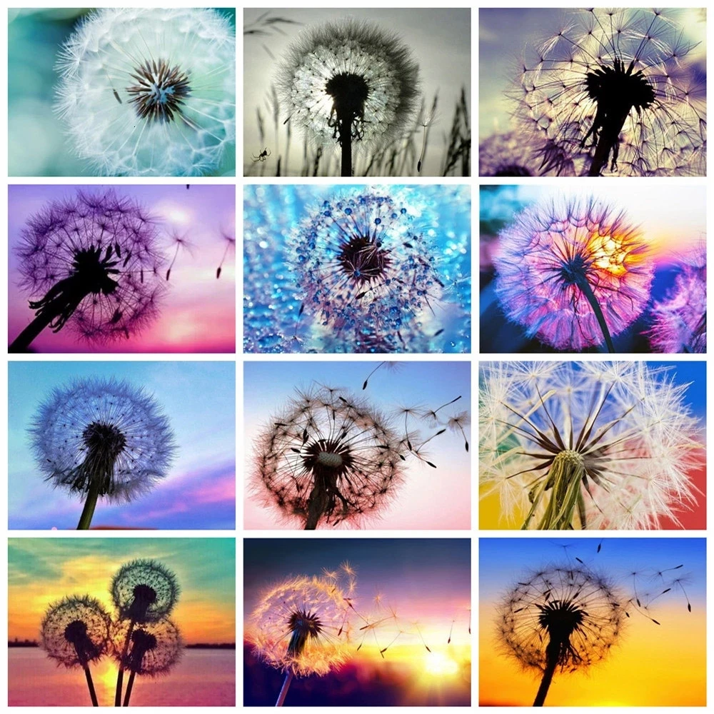 

5D Diamond Painting Dandelion Sunset Scenery Full Drill Square/round Sale Embroidery Home Decoration Art Diamond Gift