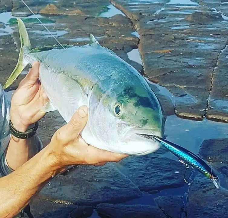 Hunthouse G управление minnow опускается на дно рыбалка приманка 95/120 мм 28/41g