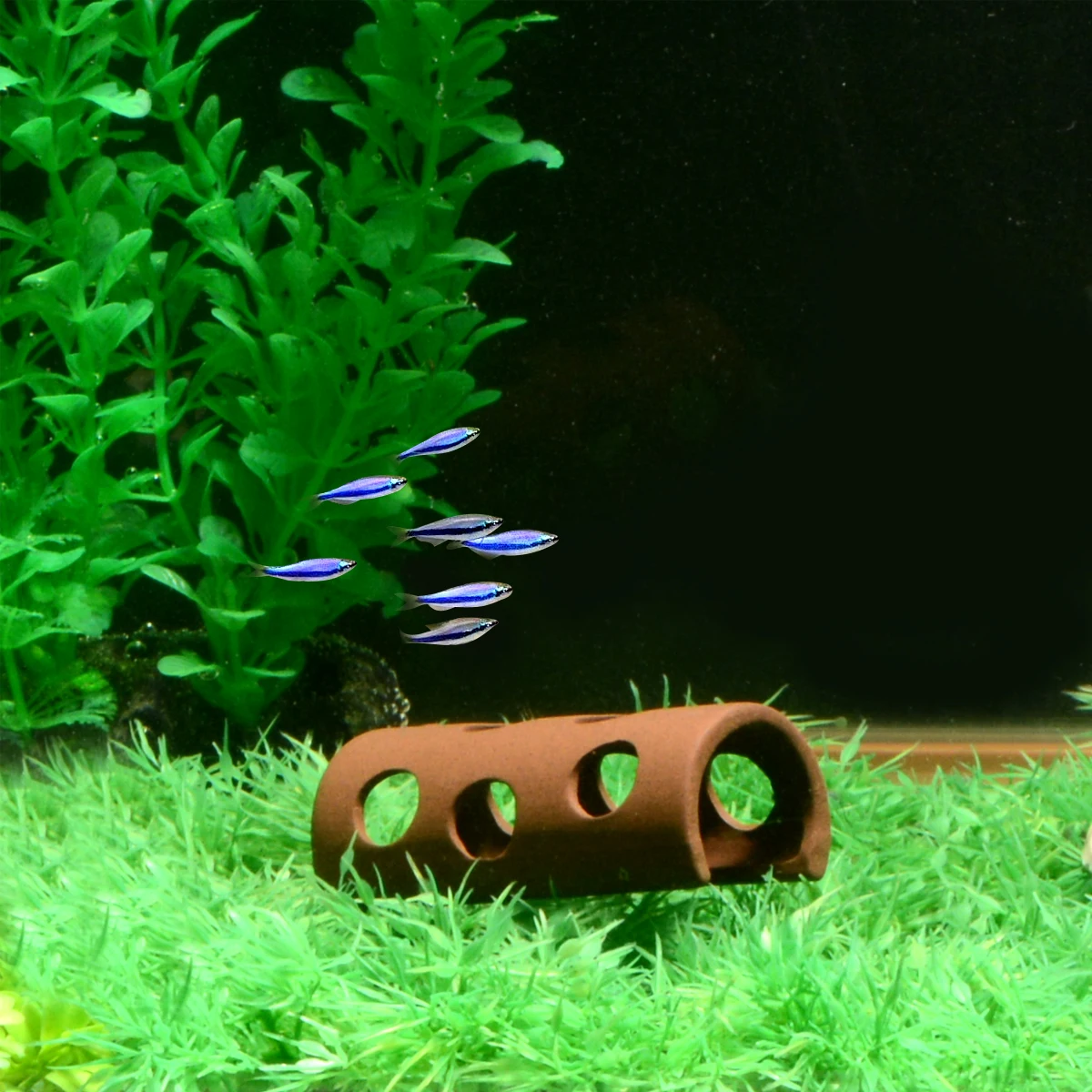 Аквариумное украшение для аквариума Saim белое керамическое полукруглое