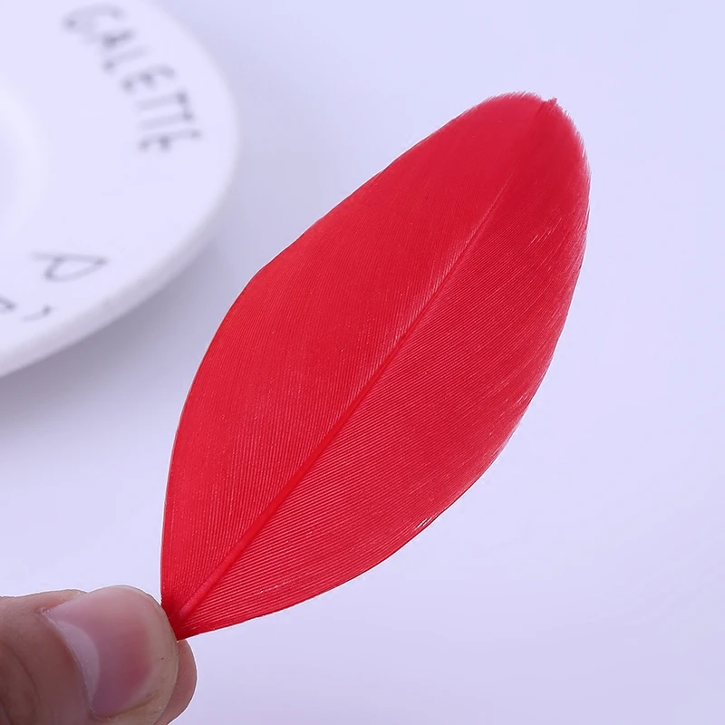 10 шт. подвески в виде натуральных гусиных перьев|Перо| |