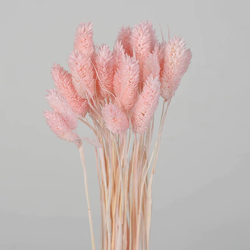 

30Pcs/lot Gradient Natural Dried Flowers Bouquet Wedding Home Easter Decorations Rabbit Tail Grass Real Flowers Valentine's Day