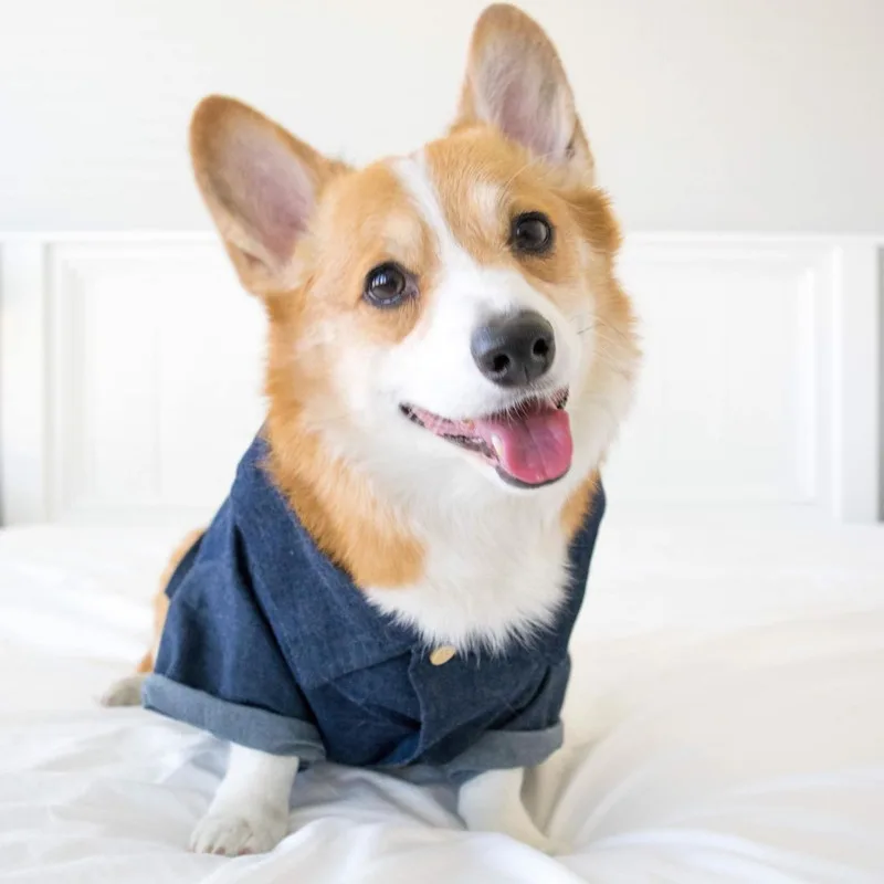

Pets Clothes Summer Dog Dog Clothes Cat Dog Shirt Dog Denim Shirts Pet Home Clothes Outdoor Travel Clothes Light And Breathable