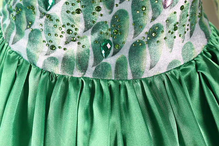 Платье для девочек Костюмы принцессы Платья костюмированной вечеринки на