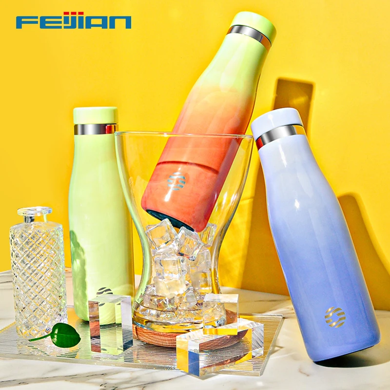 

FEIJIAN Thermochromic Water Bottle, Stainless Steel Vacuum Flask,Keep Cold & Hot,BPA Free