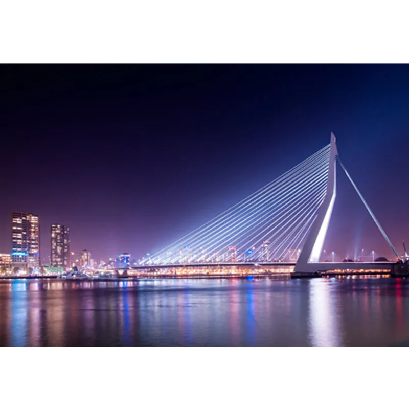 Алмазная картина Роттердам Erasmusbrug пейзаж Erasmus мост полный дрель 5d Вышивка крестом