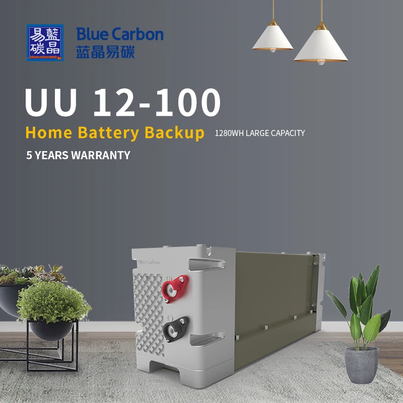 

12V 100Ah Solar Rechargeable Lithium - Ion Batteries with BMS 5000 Cycles